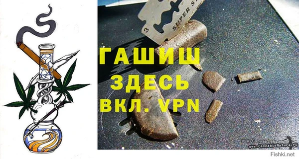 сатива Горно-Алтайск