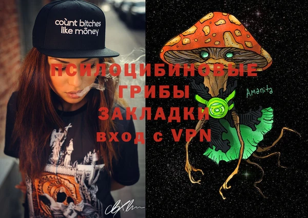 мет Гатчина