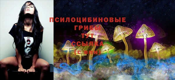 сатива Горно-Алтайск
