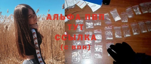 сатива Горно-Алтайск