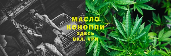 сатива Горно-Алтайск