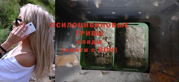 ALPHA-PVP Горнозаводск