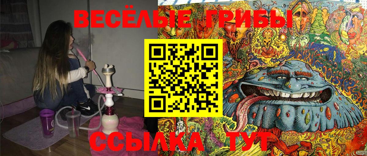 Псилоцибиновые грибы GOLDEN TEACHER  Галлюциногенные грибы Psilocybine cubensis  Вход с VPN  Грязи 