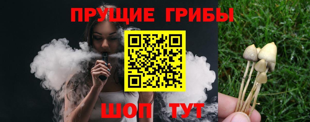 Псилоцибиновые грибы GOLDEN TEACHER Грязи